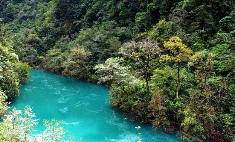 厉害了我的巧虎7